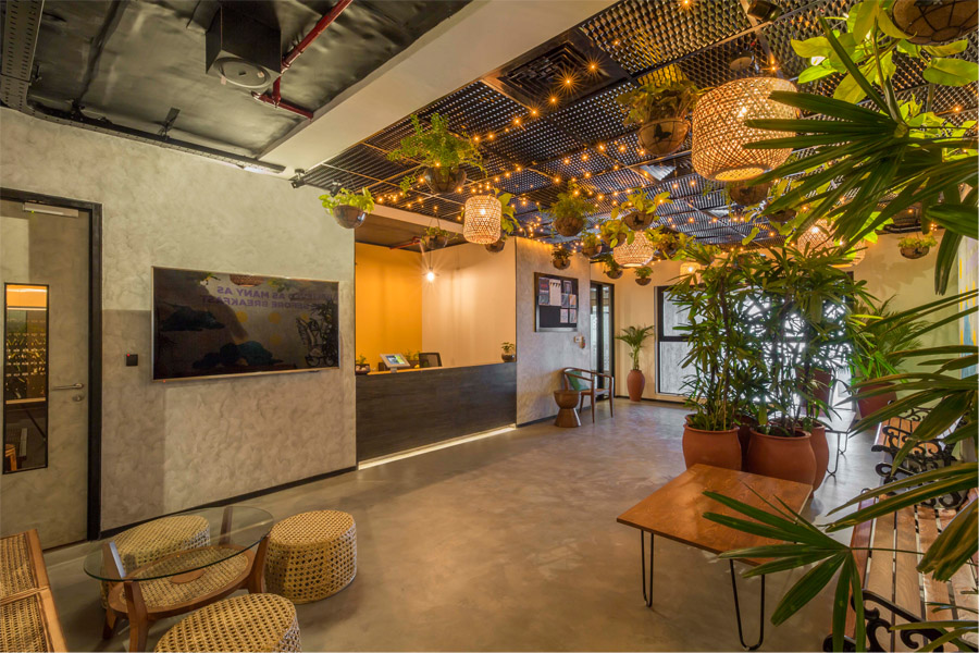 2025 Inspiring Biophilic Office Design!